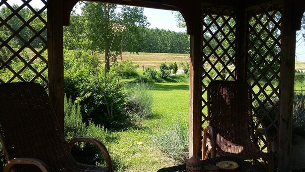 Una habitación con muebles de mimbre y vista a un campo cubierto de hierba a través de una ventana celosía.