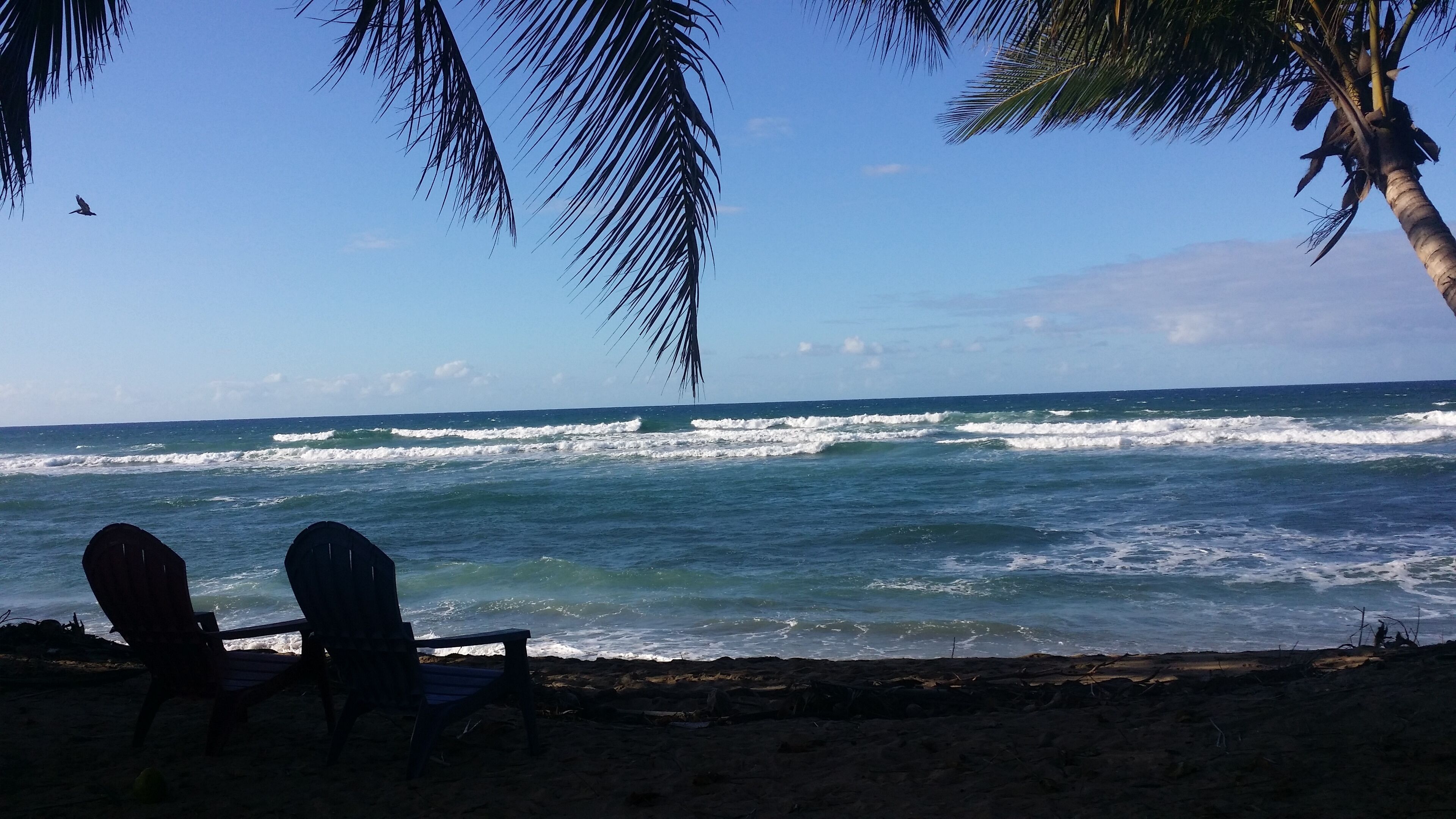 A beach with two chairs facing the ocean, palm trees, and waves.