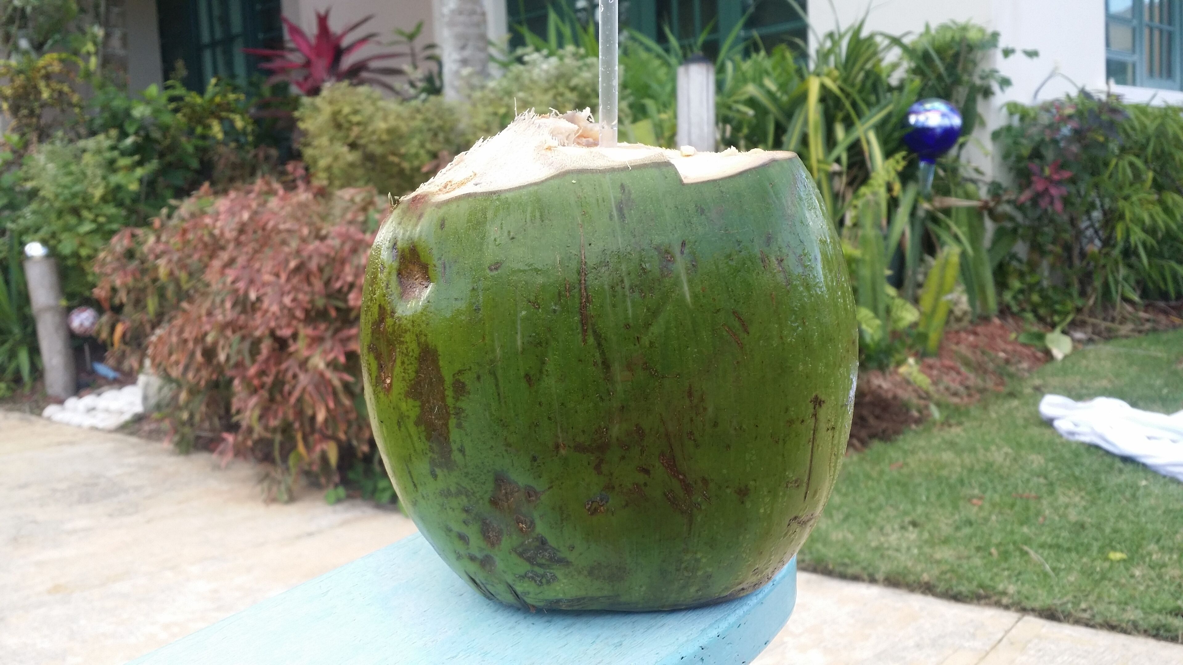 A large green coconut with a straw inserted, placed on a blue surface outdoors.