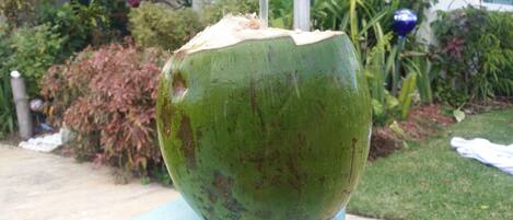 A large green coconut with a straw inserted, placed on a blue surface outdoors.