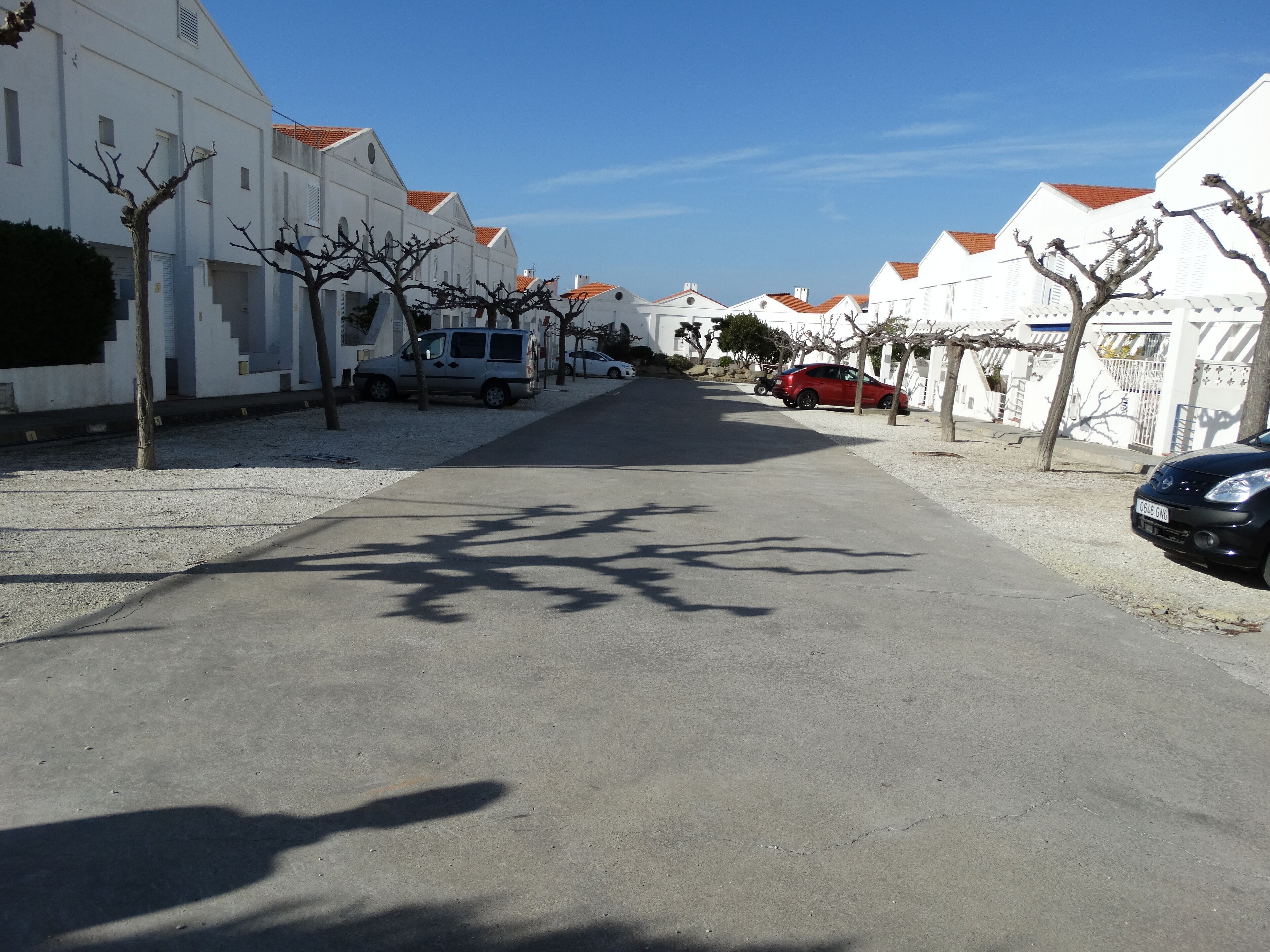 Calle flanqueada por edificios blancos con tejados rojos, coches estacionados y árboles sin hojas.
