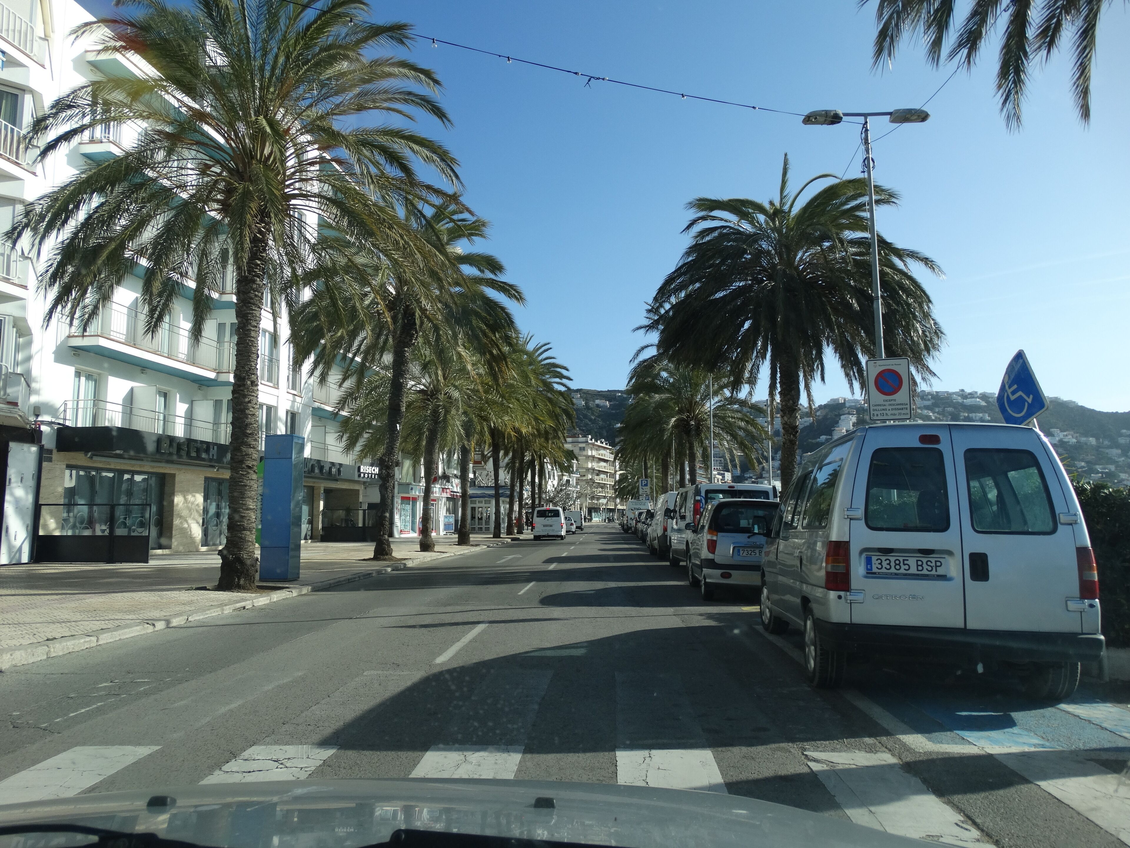 A street lined with palm trees and parked cars, with buildings on one side and a clear sky above.