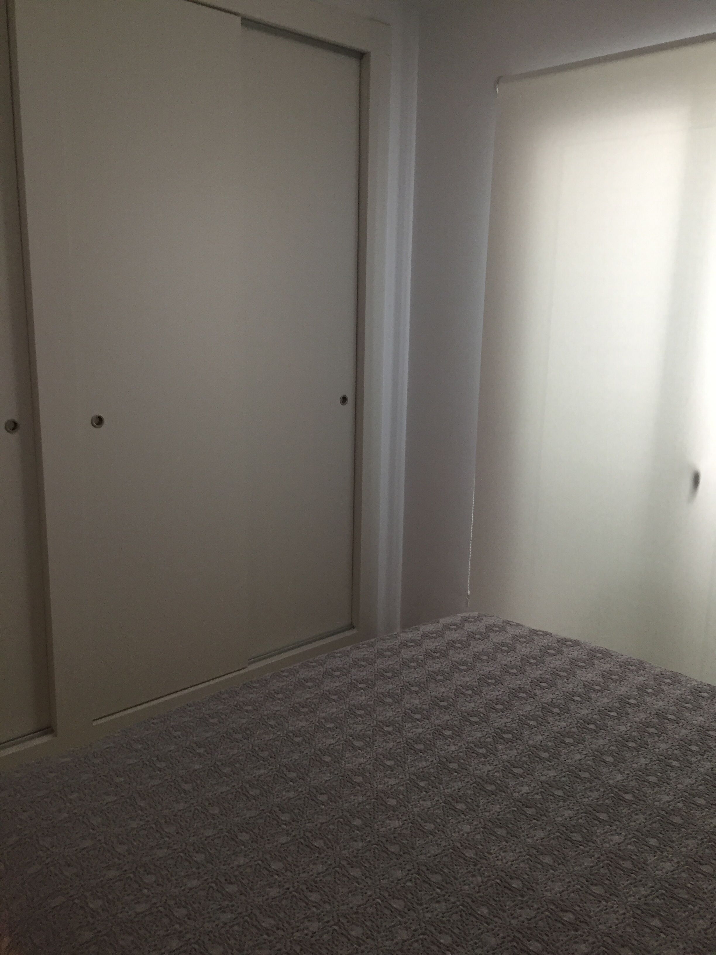 A room with two closed doors, a carpeted floor, and a plain wall.