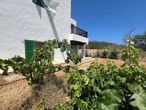 Terrain de l’hébergement 