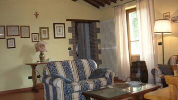 TV, fireplace, video games, DVD player