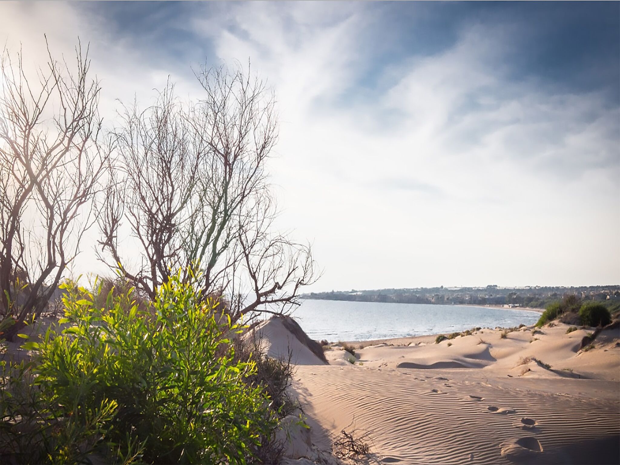 A coastal landscape with sand dunes, sparse vegetation, and a view of the sea.