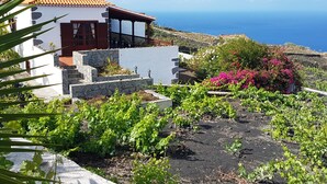 A coastal house with a stone staircase, a garden with grapevines, and a view of the sea.
