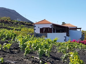 Eksteriør