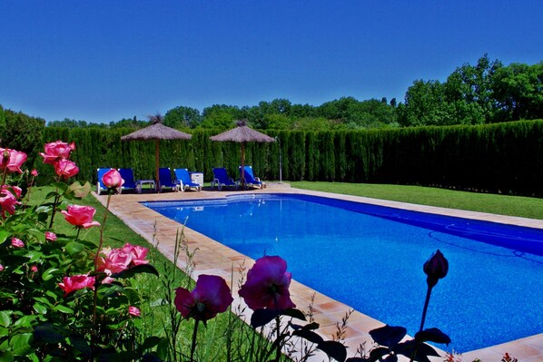 حمّام سباحة خارجي