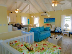 Smart TV, fireplace, DVD player, books