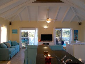 スマートテレビ、暖炉、DVD プレーヤー、書庫