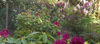 Komfortlägenhet "Moor & Meer" med terrass, trädgård, rullstolsanpassad, hundvälkommen