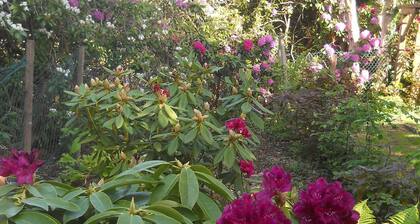 "Moor & Meer" comfort apartment with terrace, garden, wheelchair accessible, dog welcome