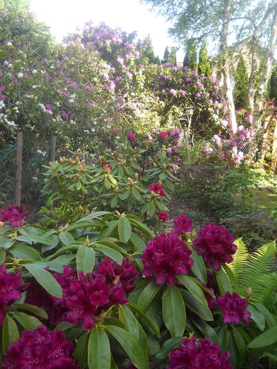 "Moor & Meer" comfort apartment with terrace, garden, wheelchair accessible, dog welcome