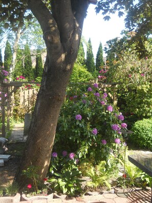 Jardines del alojamiento