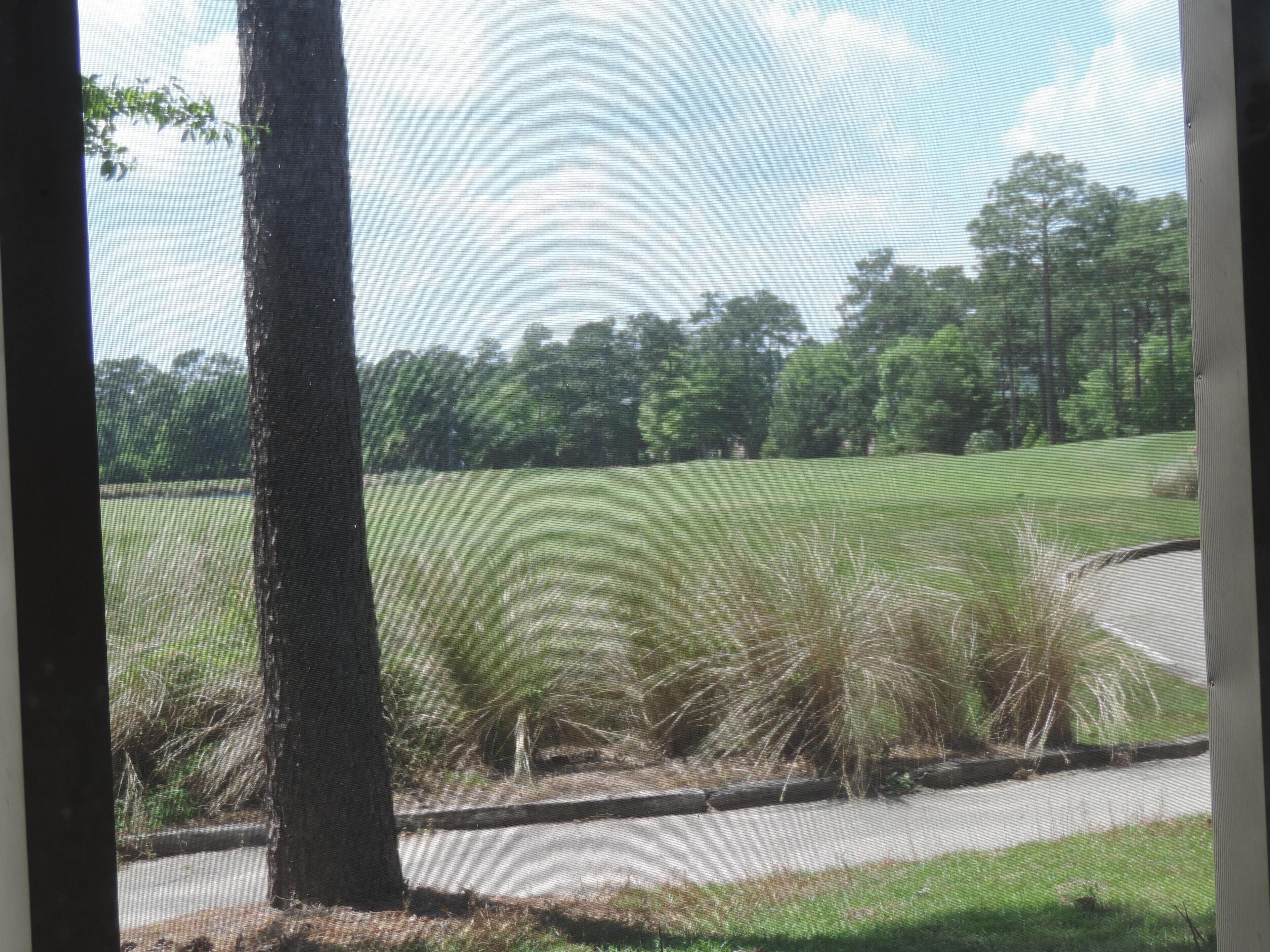 Beautiful 3 Bedroom Condo Located On The 17th Fairway At True Blue Golf Course 