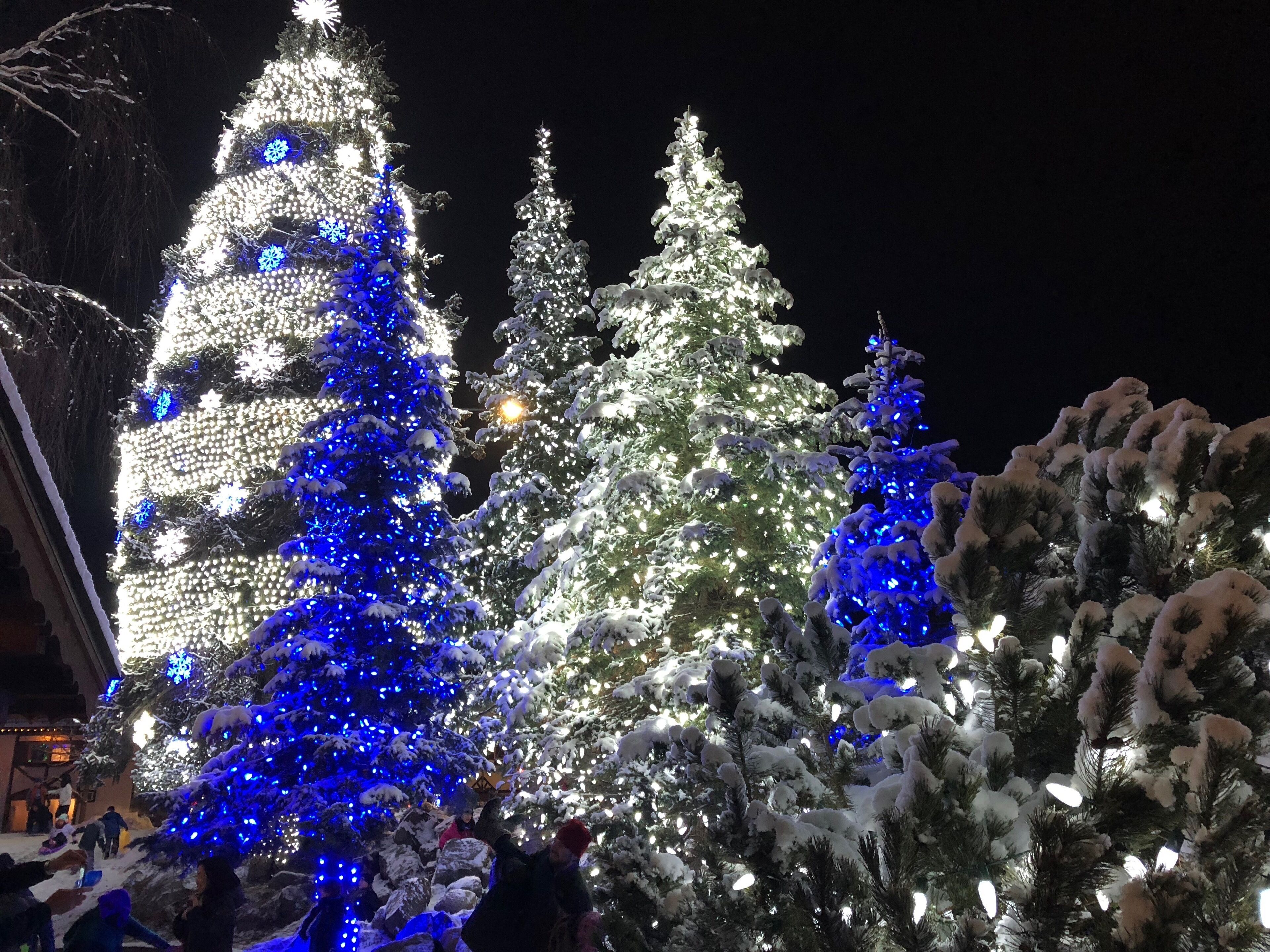 A large, illuminated Christmas tree with snow-covered branches and blue lights.
