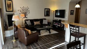 Smart TV, fireplace, DVD player, video library