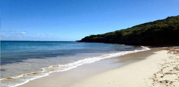Playa en los alrededores, camastros y toallas de playa 