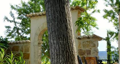 Luxus in der Provence am Weinberg, 15x5m beheiztes Schwimmbad