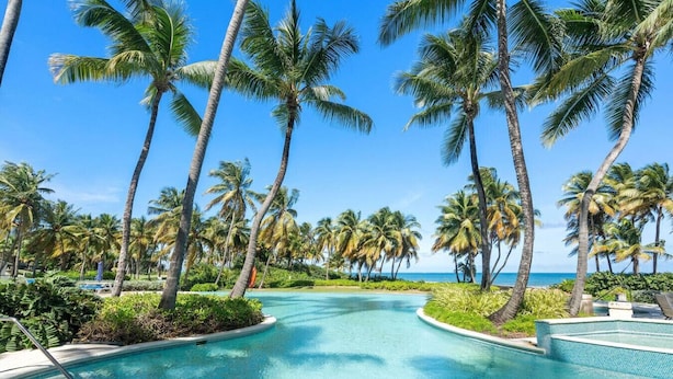A resort pool with palm trees and a clear blue sky.
