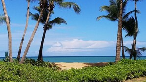 A beach with palm trees and a clear sky.