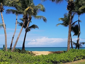 A beach with palm trees and a clear sky. - Beachfront Boutique Feel @ Wyndham Rio Mar Resort (Rio Grande)