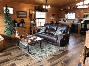 TV connectée, cheminée, lecteur de DVD, livres