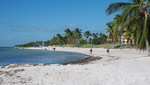 Een strand met palmbomen, een heldere lucht en een rustige zee.