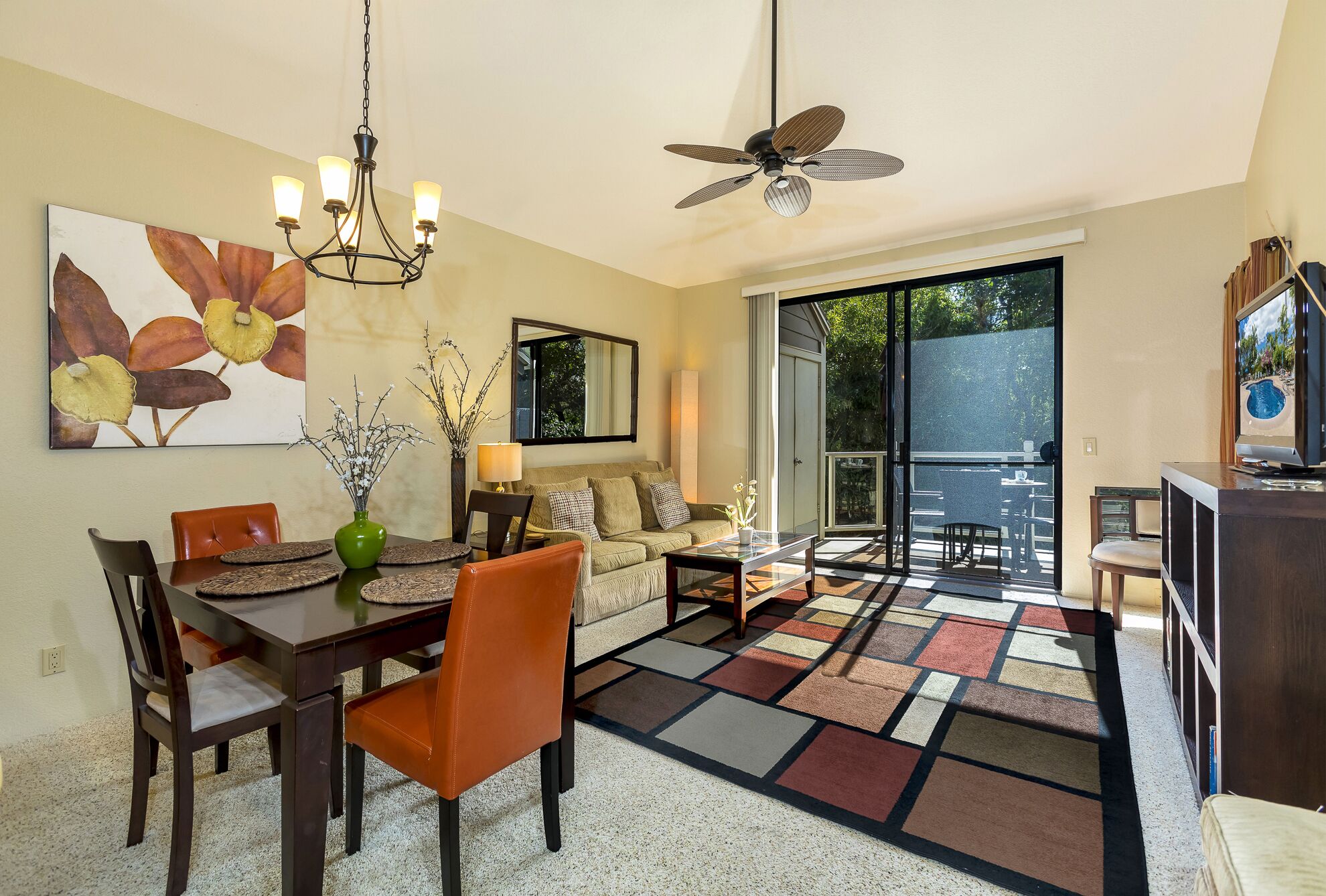 Smart TV, DVD player, books, stereo