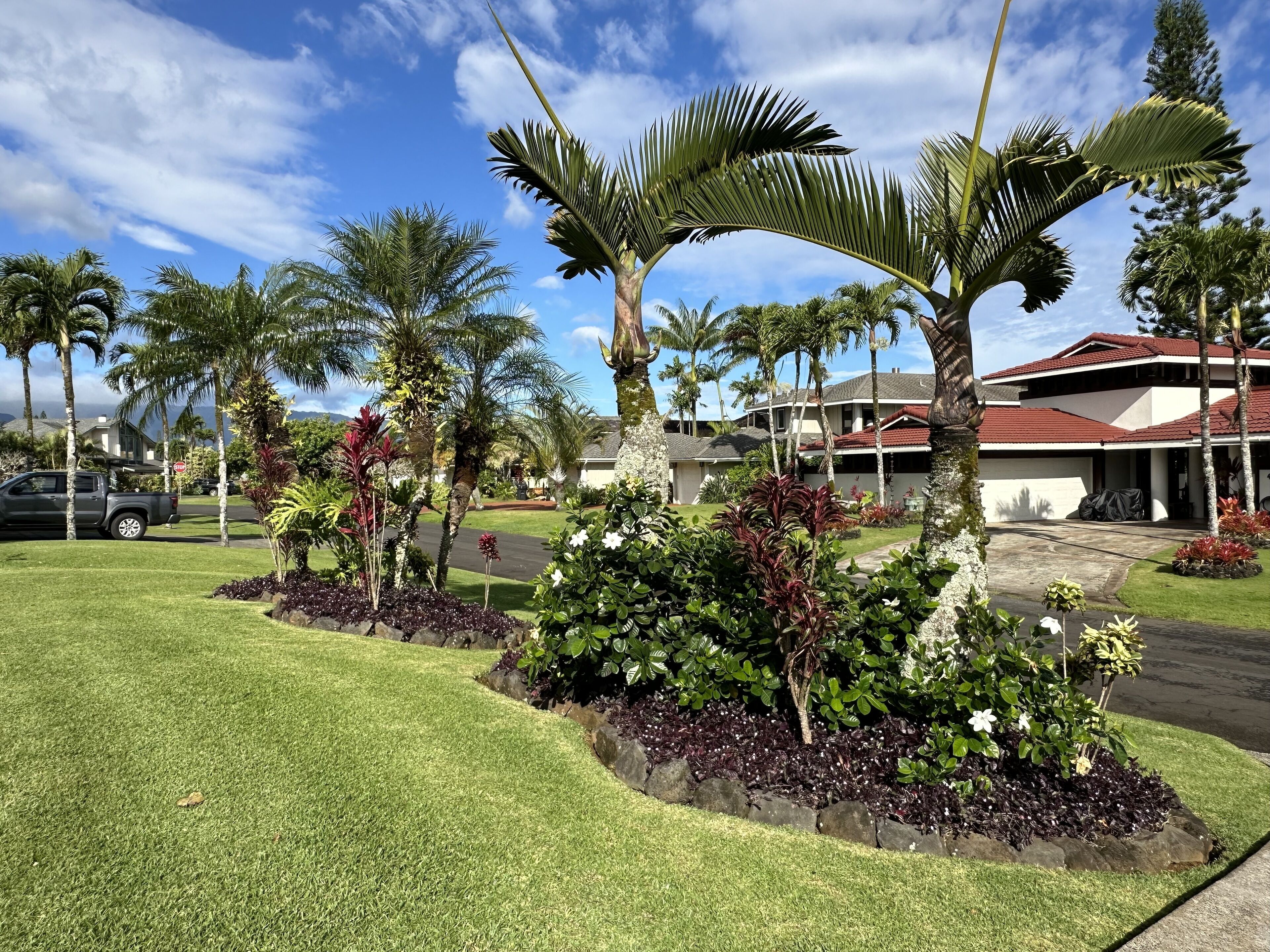 A residential area with a well-maintained lawn, palm trees, and a two-story house with a red roof.