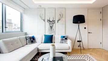 Televisio, DVD-soitin