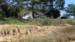 A house surrounded by tall grass and trees.