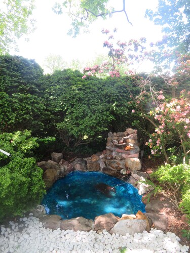 Rustic Quaint Cottage With Spectacular Views