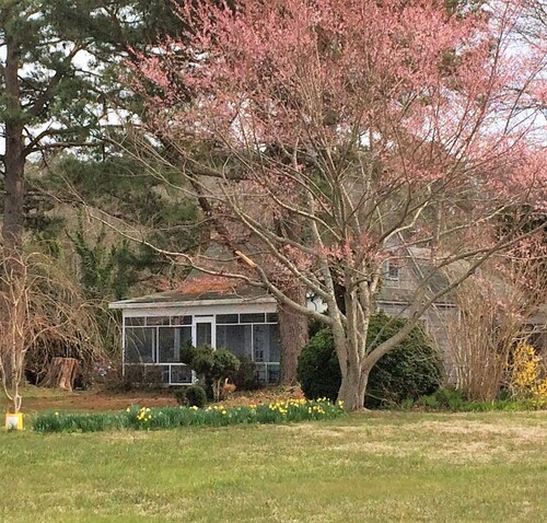Cottage pittoresque rustique avec des vues spectaculaires