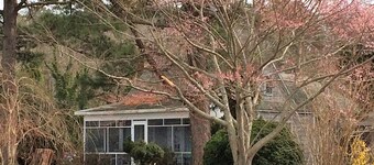 Rustic Quaint Cottage With Spectacular Views