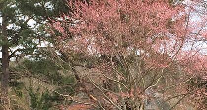 Cottage pittoresque rustique avec des vues spectaculaires