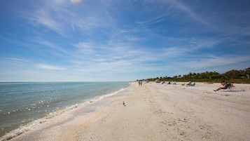 Una spiaggia nelle vicinanze, lettini da mare, teli da spiaggia