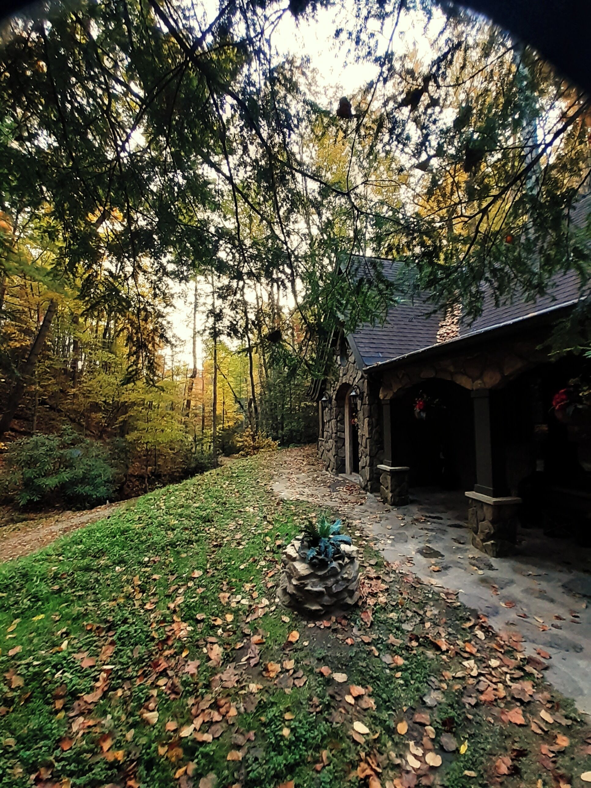 Enceinte de l’hébergement