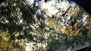 Ein Steingebäude mit überdachter Veranda, umgeben von bewaldetem Gelände mit einem Steinweg, der dorthin führt.