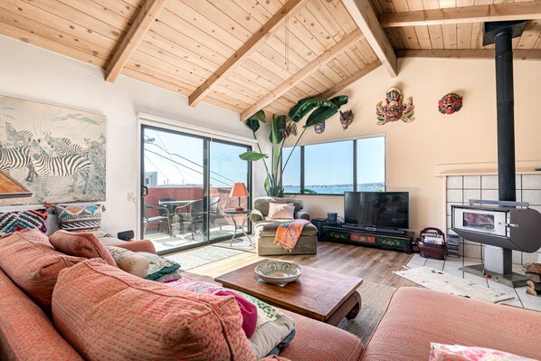 Televisie, een open haard, een dvd-speler en boeken