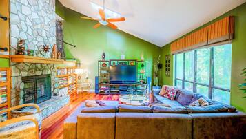 TV connectée, cheminée, lecteur de DVD, livres