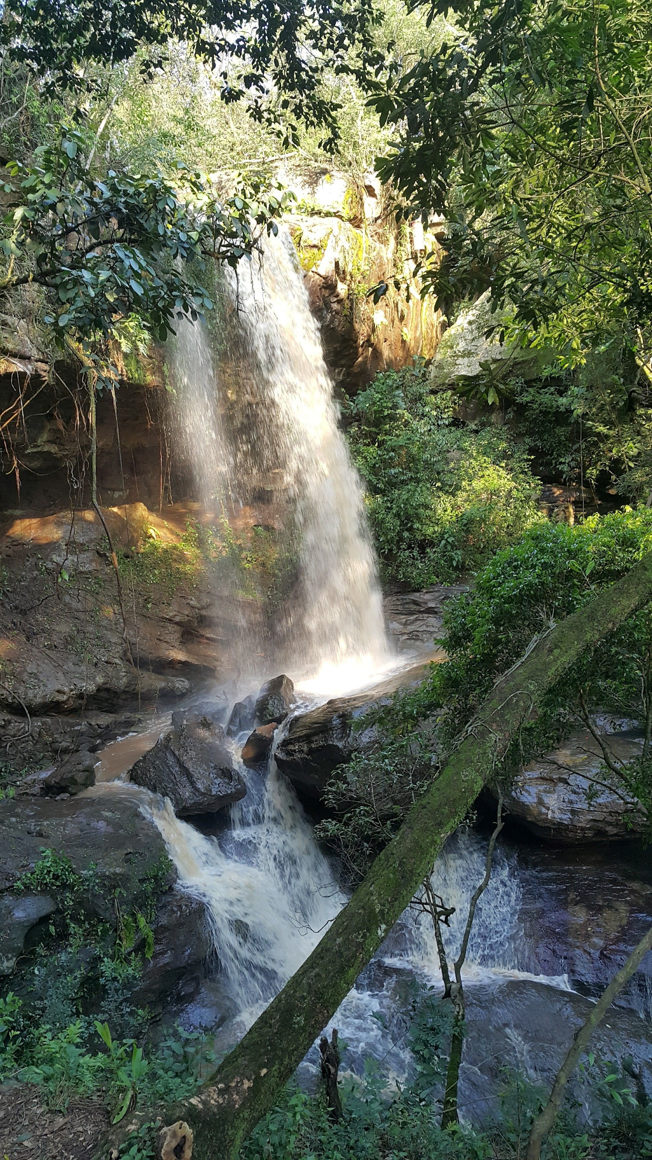 Una cascada fluye sobre rocas en un área boscosa.