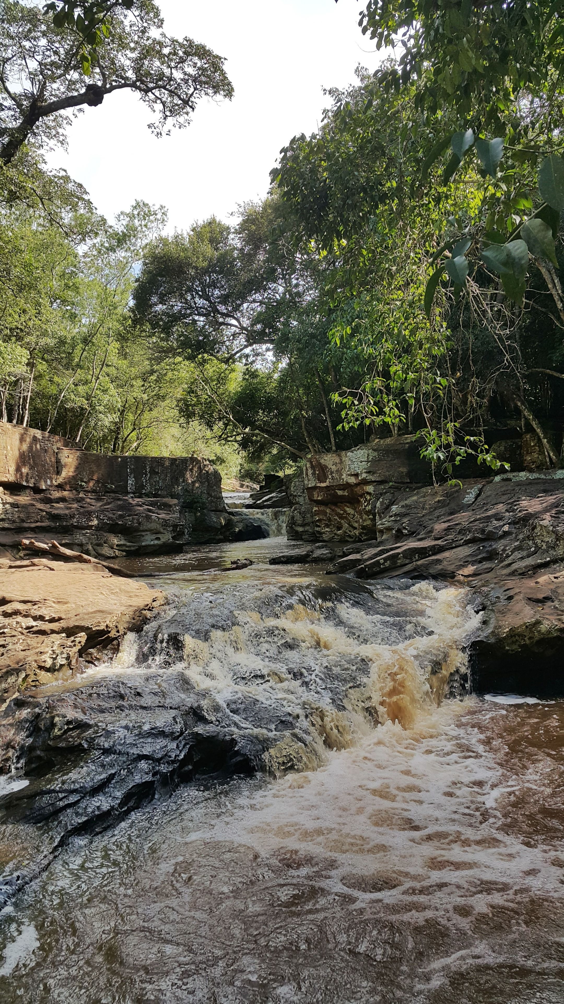 A natural waterfall surrounded by dense foliage and rocky terrain.