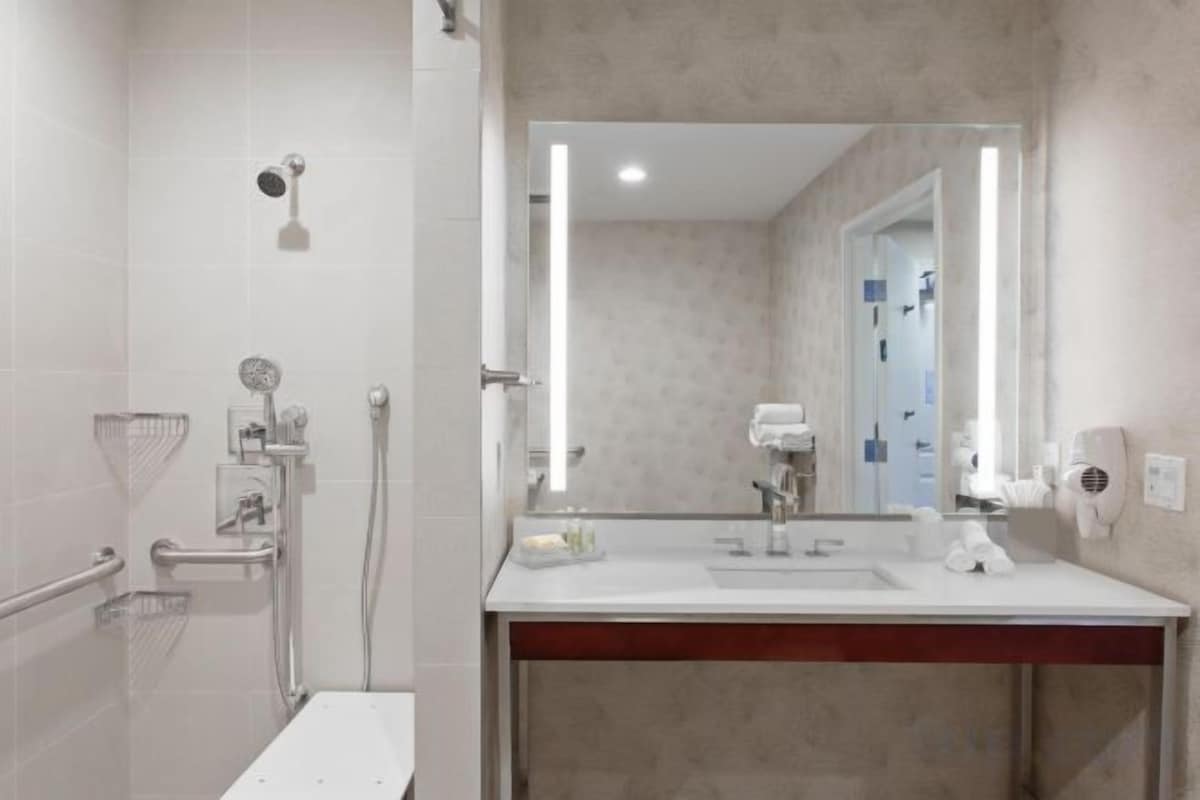 Standard Comm Accessible King Room with Roll In Shower