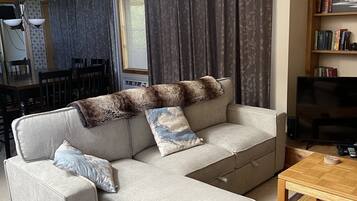 Smart TV, fireplace, DVD player, books