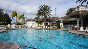 Una piscina con sillas de descanso y palmeras.