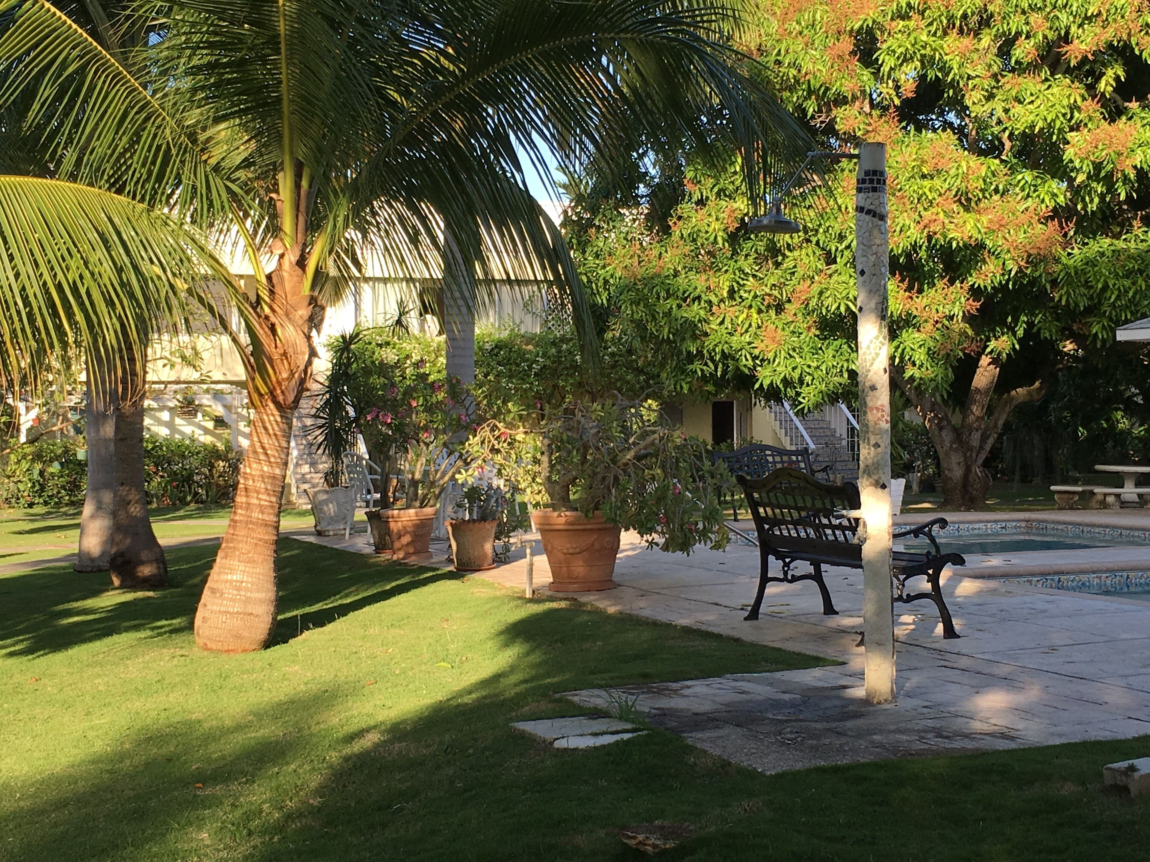 Un jardin bien entretenu, agrémenté de palmiers, de plantes en pot et d’un banc.