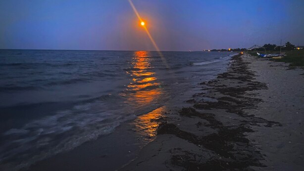 Une plage au crépuscule, avec le soleil se couchant sur l’eau, créant un reflet sur le sable mouillé.