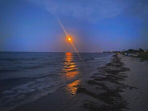Playa en los alrededores 